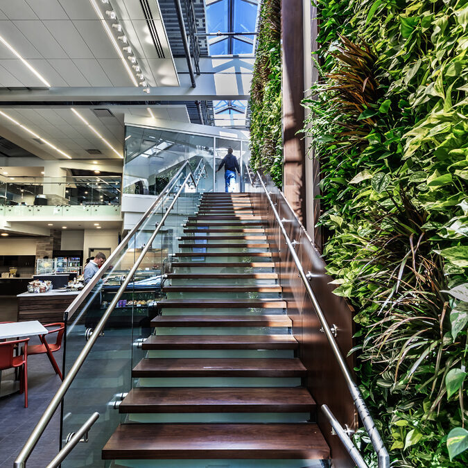 2GTQbgiNxerRr5gcT6hkjr8dsnb6NBTxXMi2obS-square-8045254e81024f331dabe32ccfaa8860-5q418gahjty3